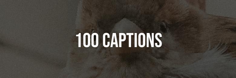 100 Captions for Instagram and Facebook: Fisherman’s Edition