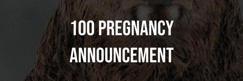 100 Pregnancy Announcement & Maternity Photos Captions