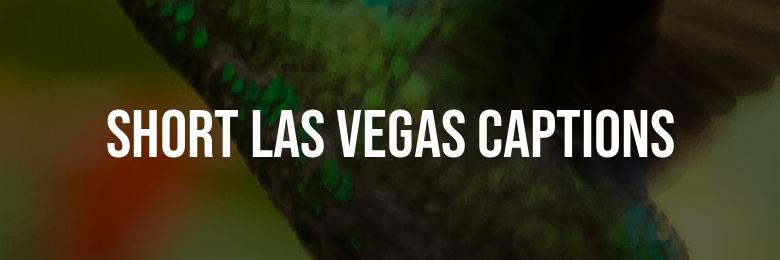 140 Funny and Short Las Vegas Captions for Instagram