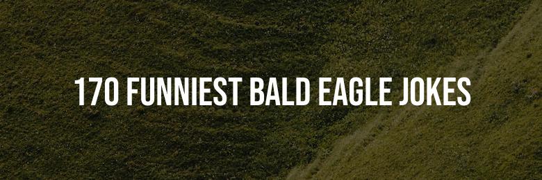 170 Funniest Bald Eagle Jokes