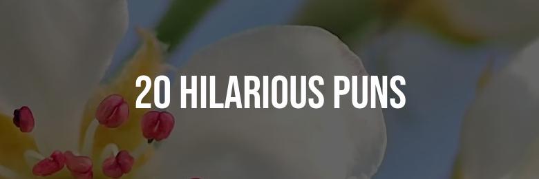 20 Hilarious Puns for Your 95th Birthday