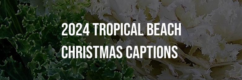 2024 Tropical Beach Christmas Captions: 70 Instagram Quotes for the Holidays