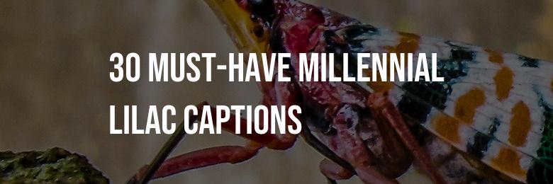 2024’s Definitive Collection: 30 Must-Have Millennial Lilac Captions for Instagram Quotes