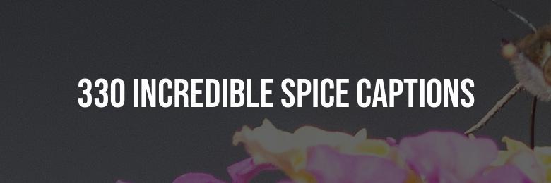 330 Incredible Spice Captions for Instagram – Full of Pun-derful Quotes