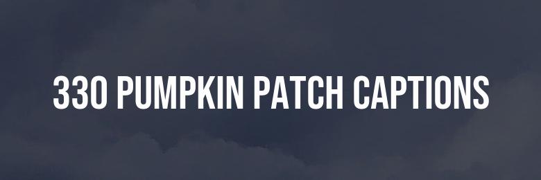 330 Pumpkin Patch Captions, Puns, and Bio Ideas for Instagram Posts