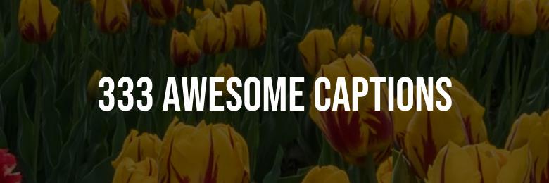 333 Awesome Captions for Instagram – Funny Puns and Inspirational Quotes