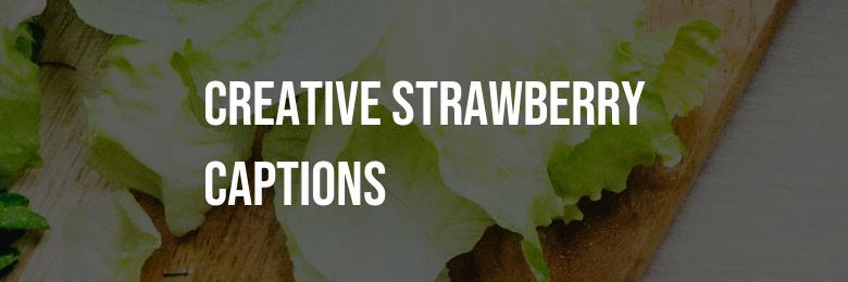 333 Fun and Creative Strawberry Captions for Instagram – Including Puns and Quotes