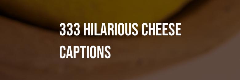 333 Hilarious Cheese Captions and Quotes for Instagram