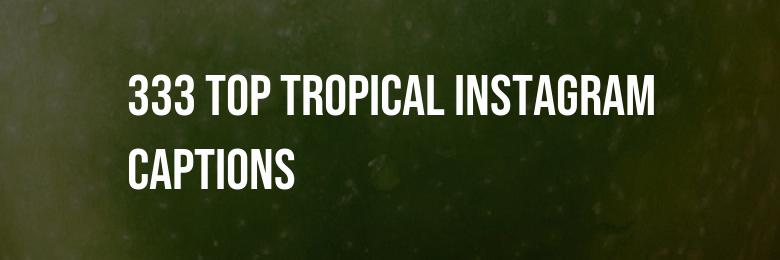 333 Top Tropical Instagram Captions: Pun-filled Quotes for the Perfect Shot