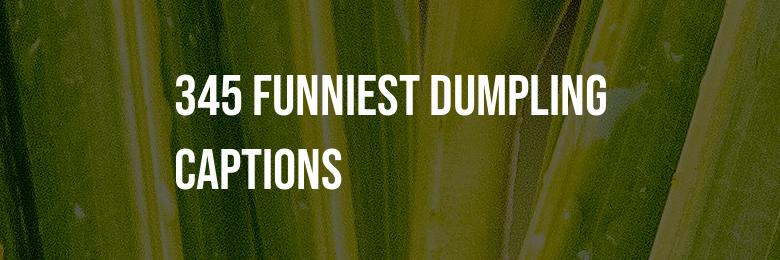 345 Funniest Dumpling Captions for Instagram – Hilarious Puns & Inspiring Quotes