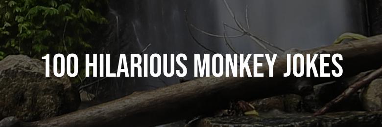 A Collection of 100 Hilarious Monkey Jokes