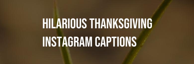 Hilarious Thanksgiving Instagram Captions for 2024: 50 Clever Ideas