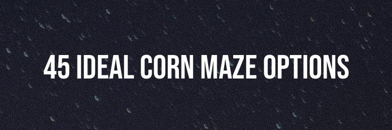 Instagram Captions: 45 Ideal Corn Maze Options