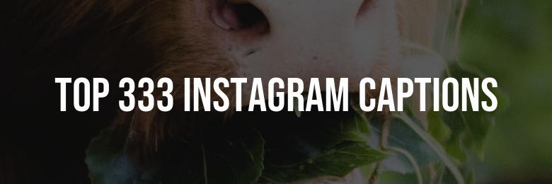 Top 333 Instagram Captions for August: Puns & Quotes