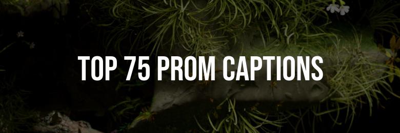 Top 75 Prom Captions for Instagram