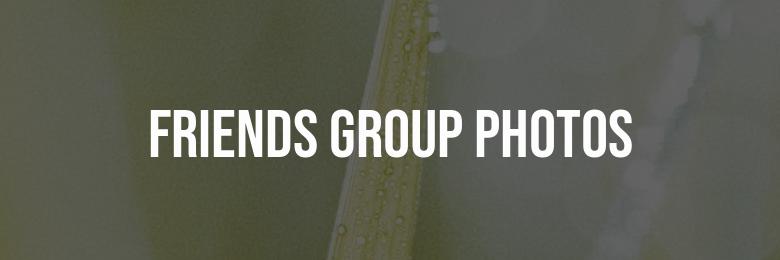 Top Captions for Friends Group Photos or Selfies